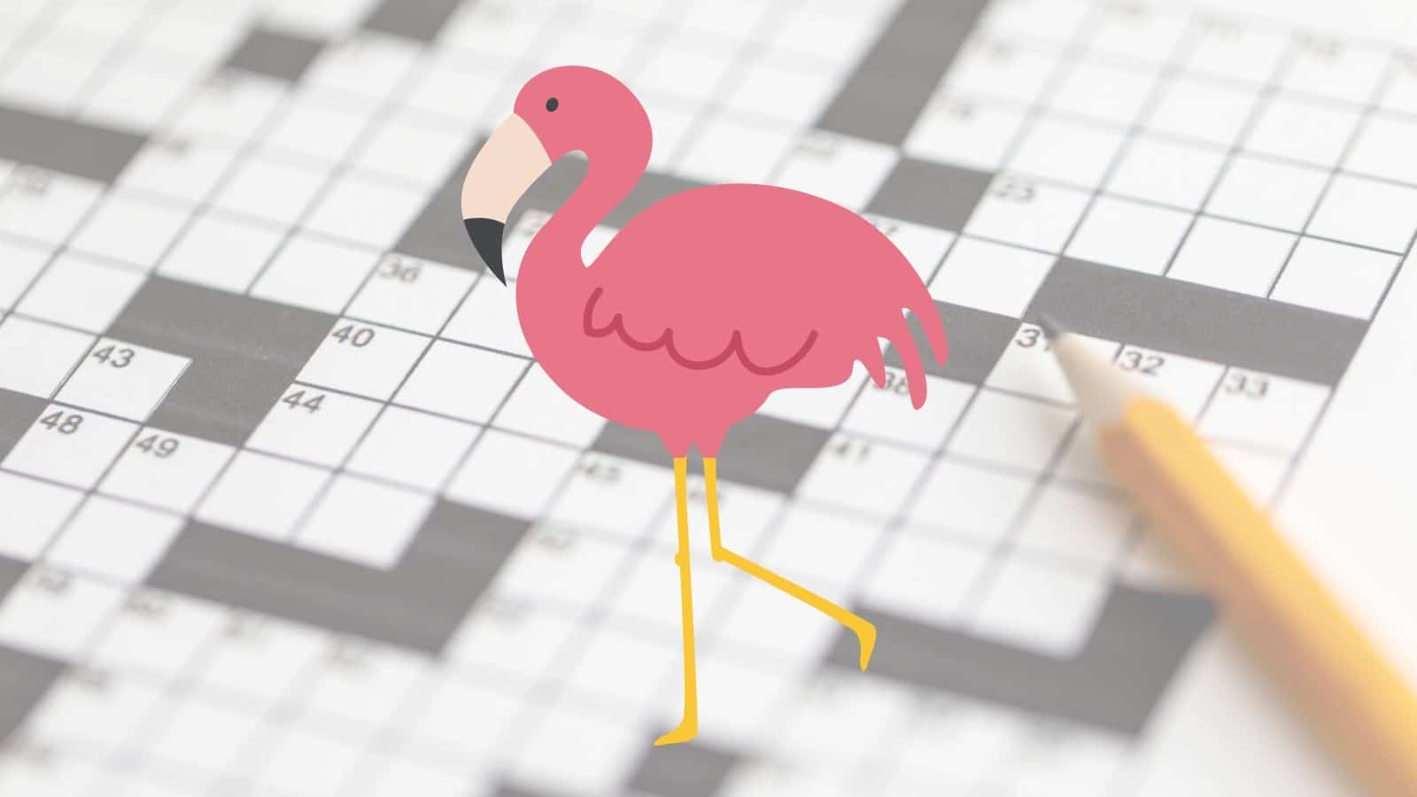 Wading Bird Crossword Clues