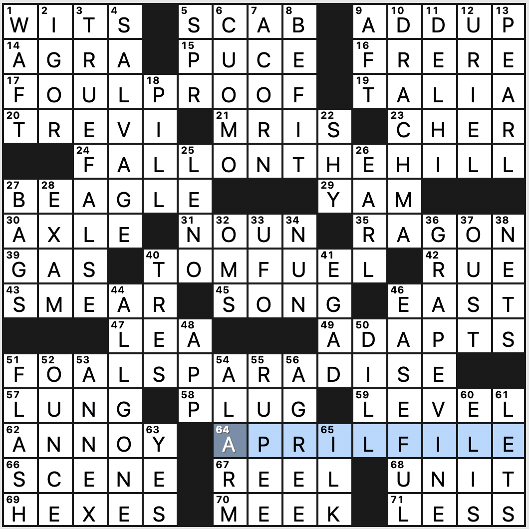 fool with crossword clue
