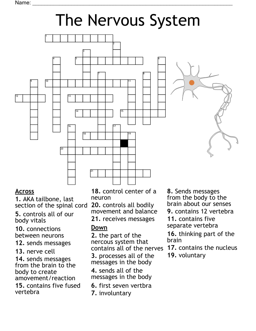 Ch 13 PNS Crossword Puzzle WordMint