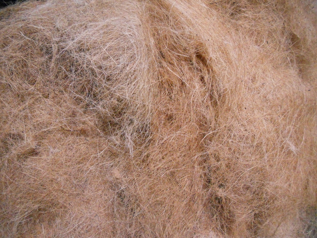 Coir Wikipedia