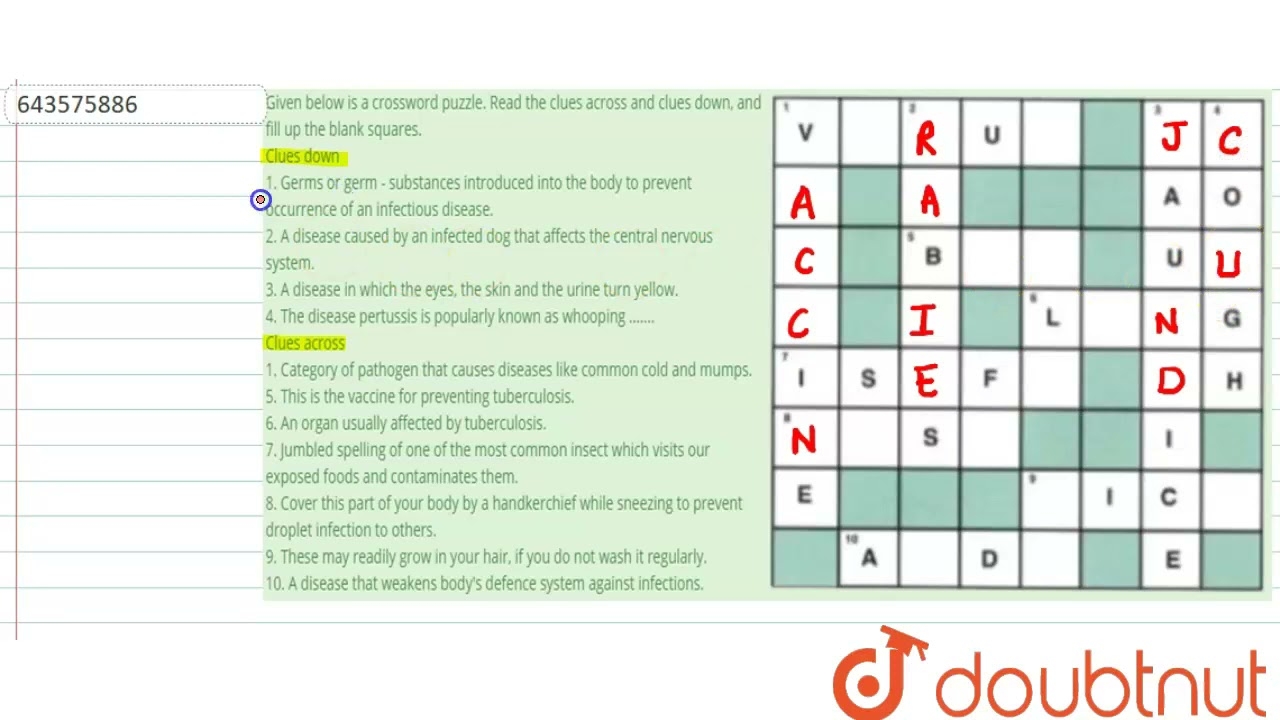 Given Below Is A Crossword Puzzle Read The Clues Across And Clues Down And Fill Up The Blank S YouTube