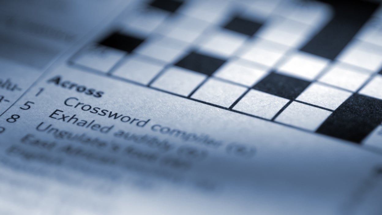 sag nyt crossword