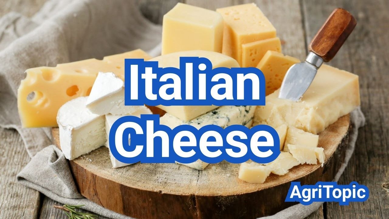 Types Of Italian Cheese From Parmesan To Pecorino Use